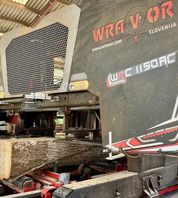 tronc découpé dans une scie à ruban wravor à la scierie Danel à Dennebroeucq (62)