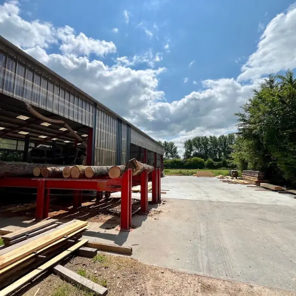 tri du bois à la scierie Danel à Dennebroeucq (62)