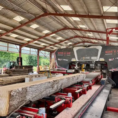 photo d'un tronc passant dans une scie à ruban wravor à la scierie Danel à Dennebroeucq (62)